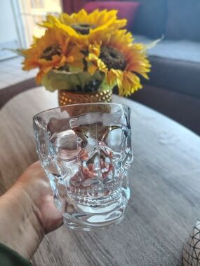 Luminarc   Drinking Mug Clear Skull Glass Tumbler - Novelty Clear Glass ..New